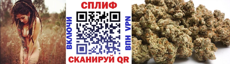 Марихуана план  Купить  Верхотурье 